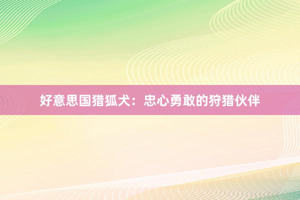 好意思国猎狐犬：忠心勇敢的狩猎伙伴